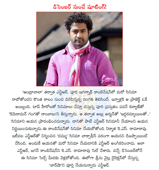 ntr,telugu actor ntr,director puri jagannath,ntr with puri jagannath,producer ks rama rao,telugu movie andhrawala,cameraman gangatho rambabu,ntr and puri jagannath combination  ntr, telugu actor ntr, director puri jagannath, ntr with puri jagannath, producer ks rama rao, telugu movie andhrawala, cameraman gangatho rambabu, ntr and puri jagannath combination